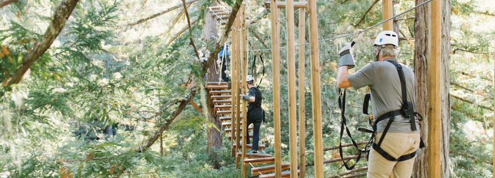 Redwood Forest Zip Line